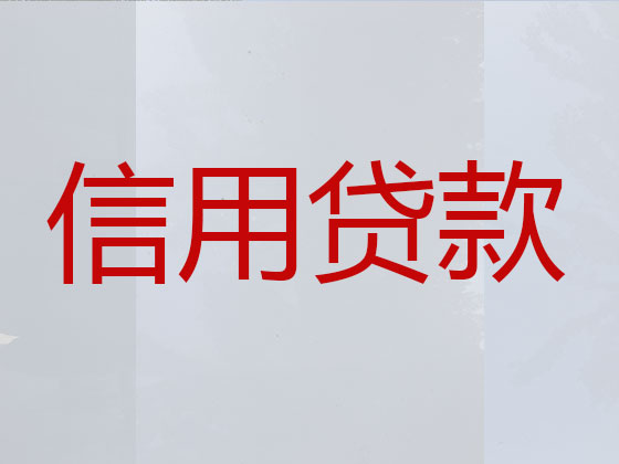 韶山市贷款公司